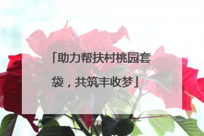 助力帮扶村桃园套袋，共筑丰收梦